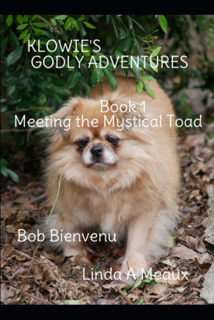 Book cover: Meeting the Mystical Toad