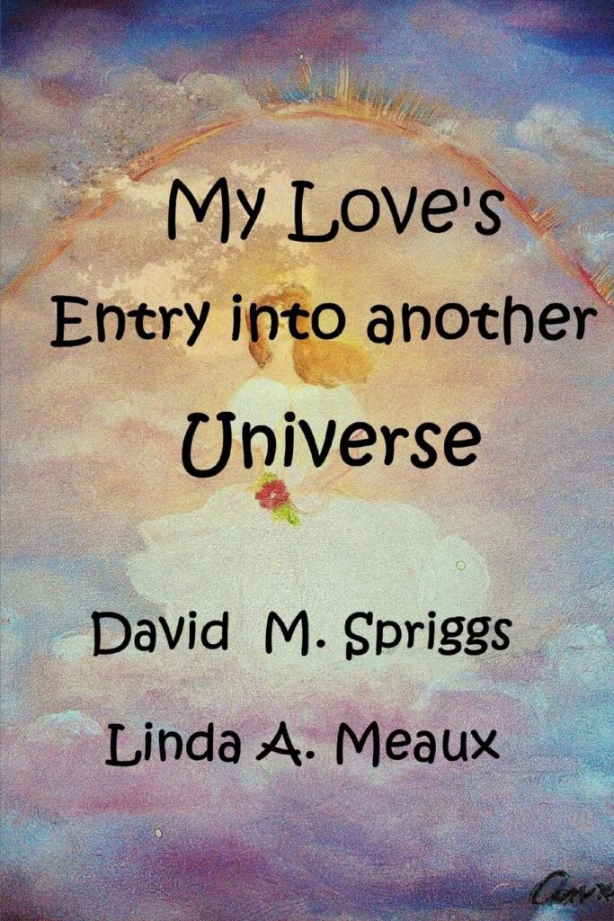 Book cover: My Love's Entry into another Universe