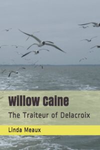 Book cover: Willow Caine