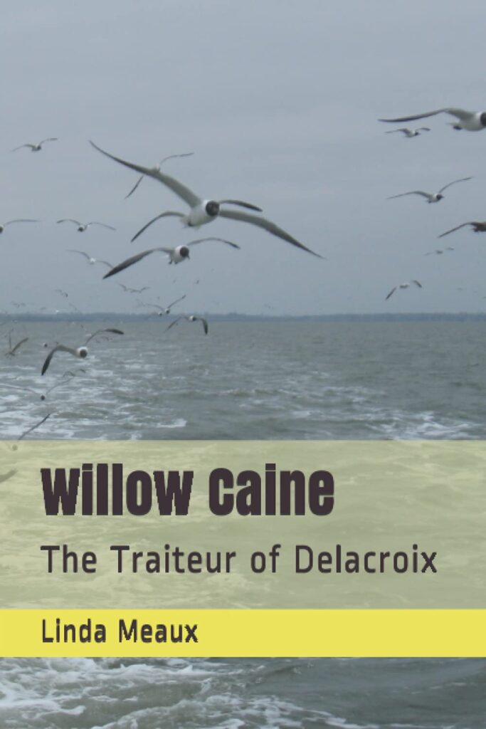 Book cover: Willow Caine